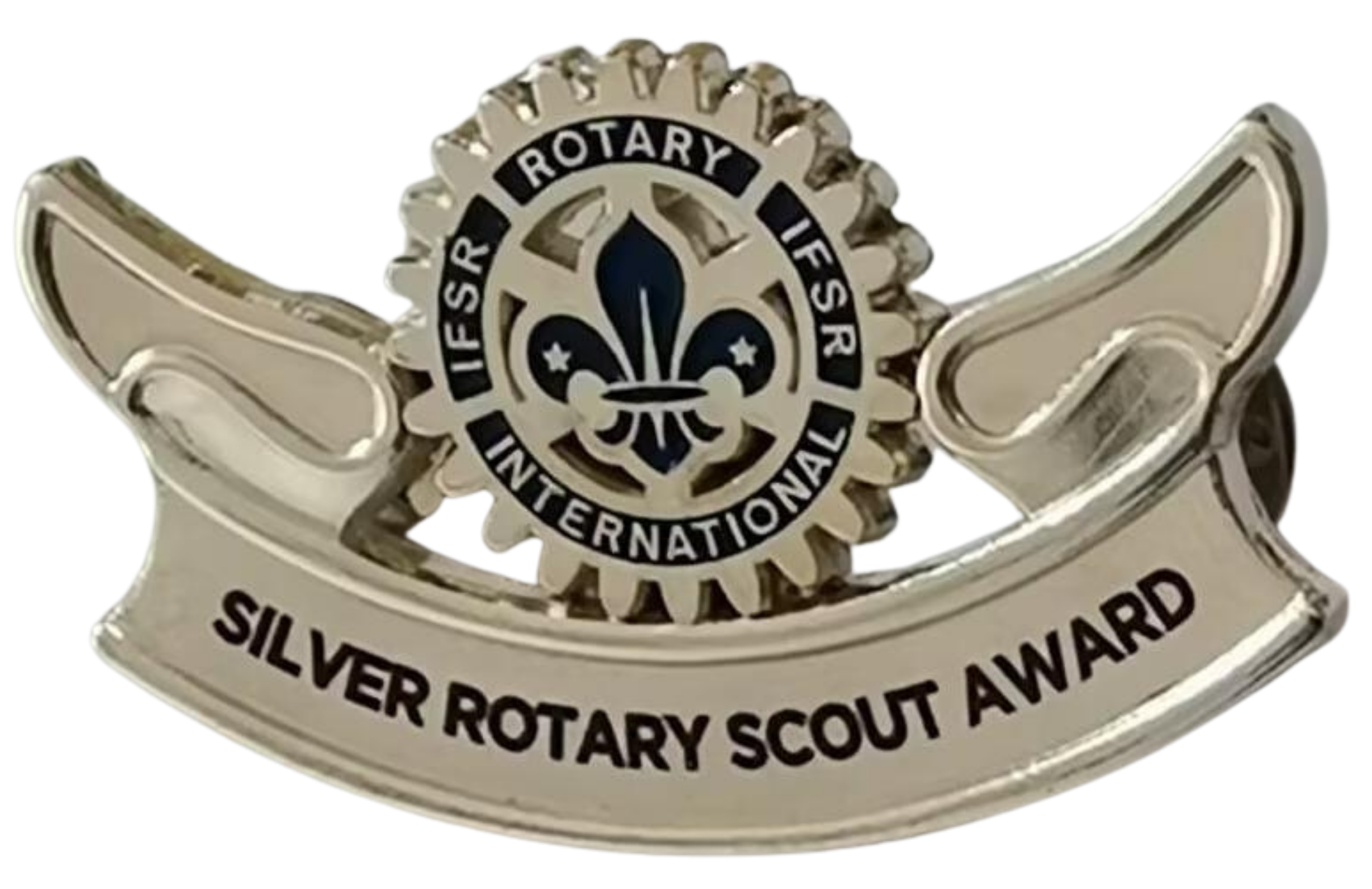 Silver Rotary Scout Award