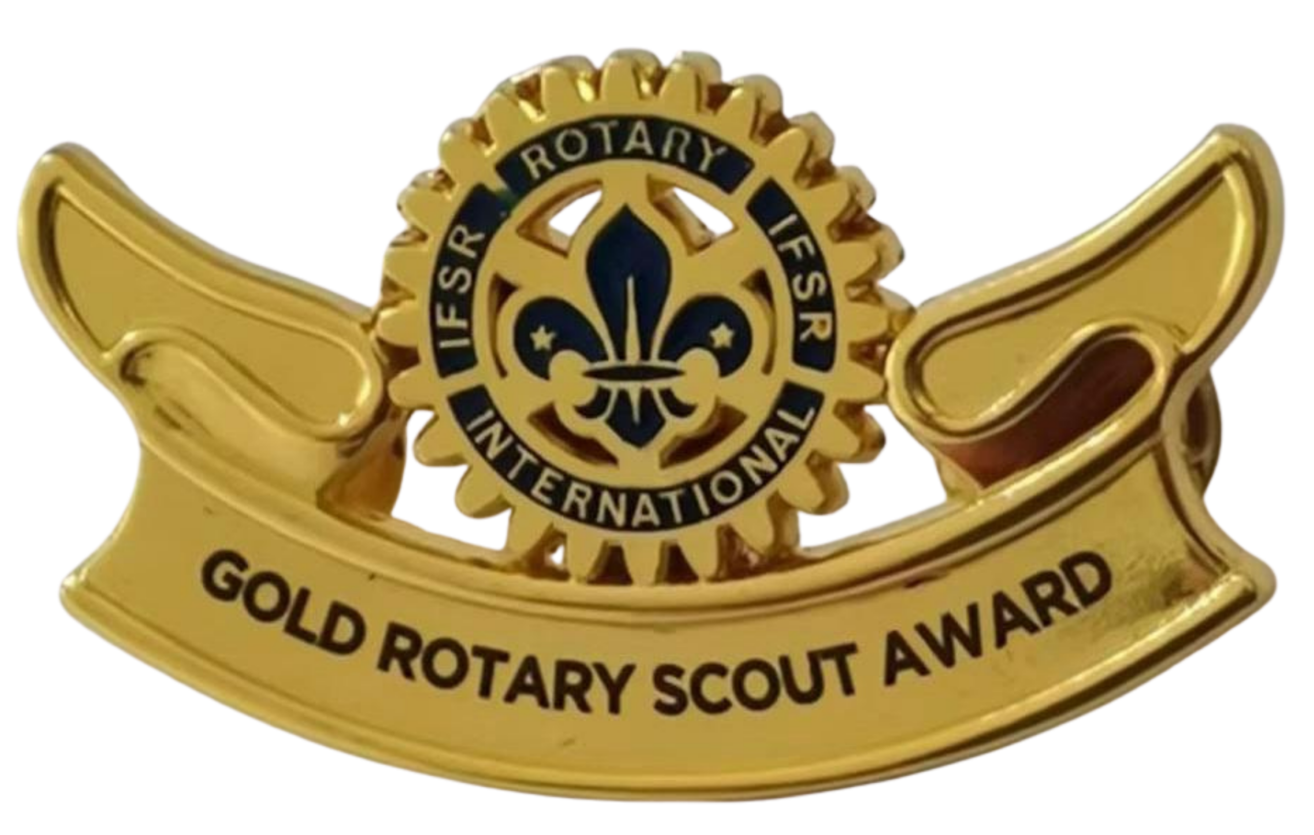 Gold Rotary Scout Award